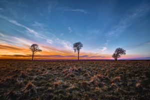 Roundway Sunset