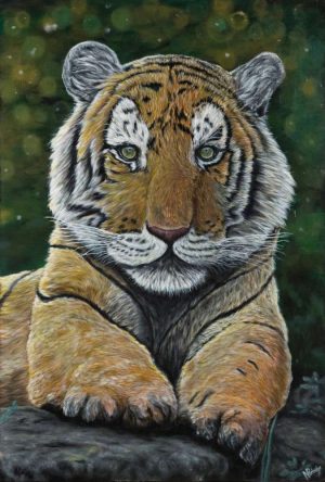 Tiger, Tiger