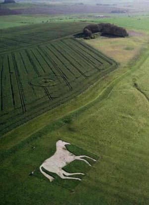 DEVIZES WHITE HORSE